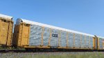 CSX B11422 (Body) TTGX 981973 (Flat)